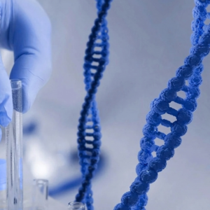 Gemini_Generated_Image_jz193ojz193ojz19