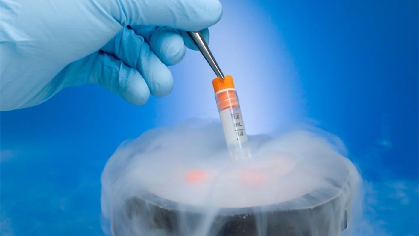 cryopreservation-applications-and-advances-349021-960x540-1