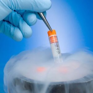 cryopreservation-applications-and-advances-349021-960x540-1